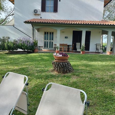 Agriturismo Uliveto Gretacci Montemerano Kültér fotó