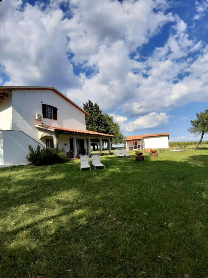 Agriturismo Uliveto Gretacci Montemerano Kültér fotó