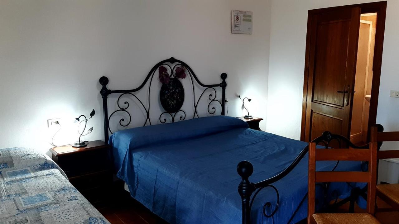 Agriturismo Uliveto Gretacci Montemerano Kültér fotó