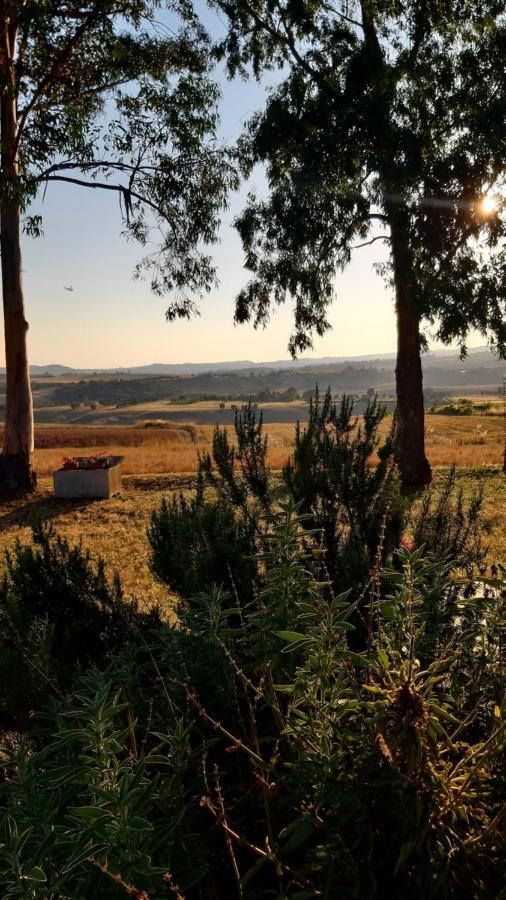 Agriturismo Uliveto Gretacci Montemerano Kültér fotó