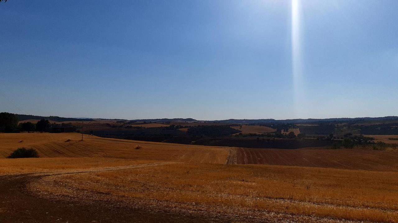 Agriturismo Uliveto Gretacci Montemerano Kültér fotó
