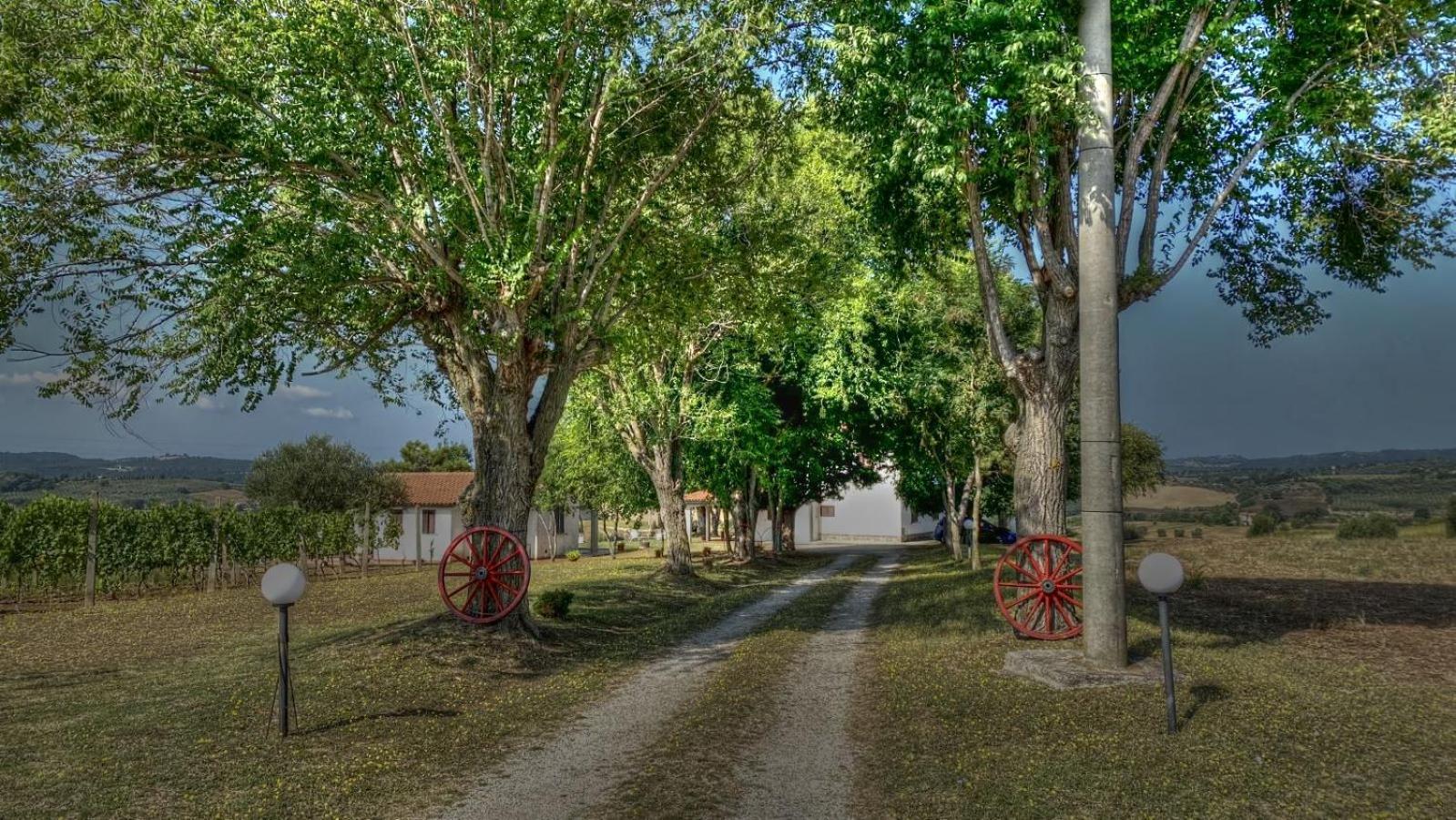 Agriturismo Uliveto Gretacci Montemerano Kültér fotó