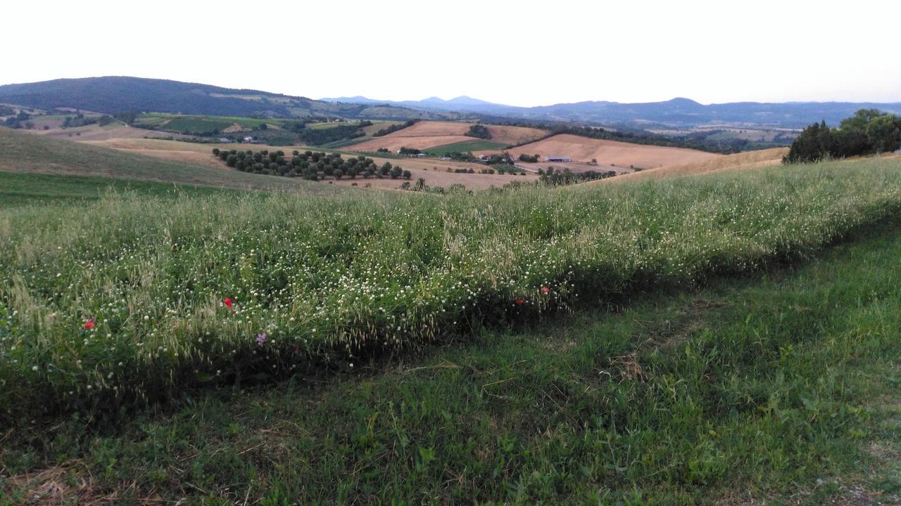 Agriturismo Uliveto Gretacci Montemerano Kültér fotó