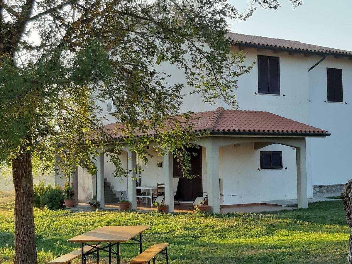 Agriturismo Uliveto Gretacci Montemerano Kültér fotó