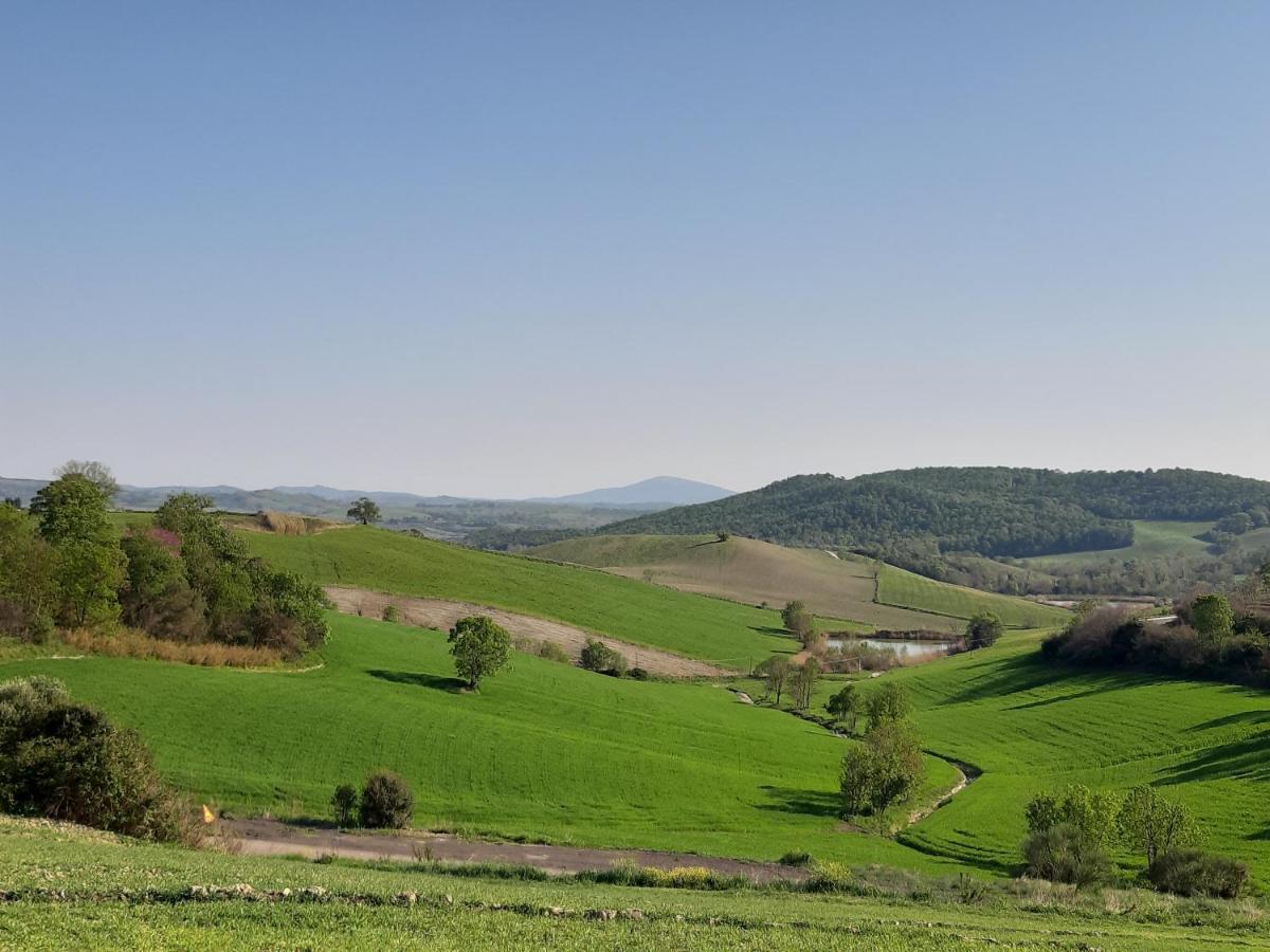 Agriturismo Uliveto Gretacci Montemerano Kültér fotó
