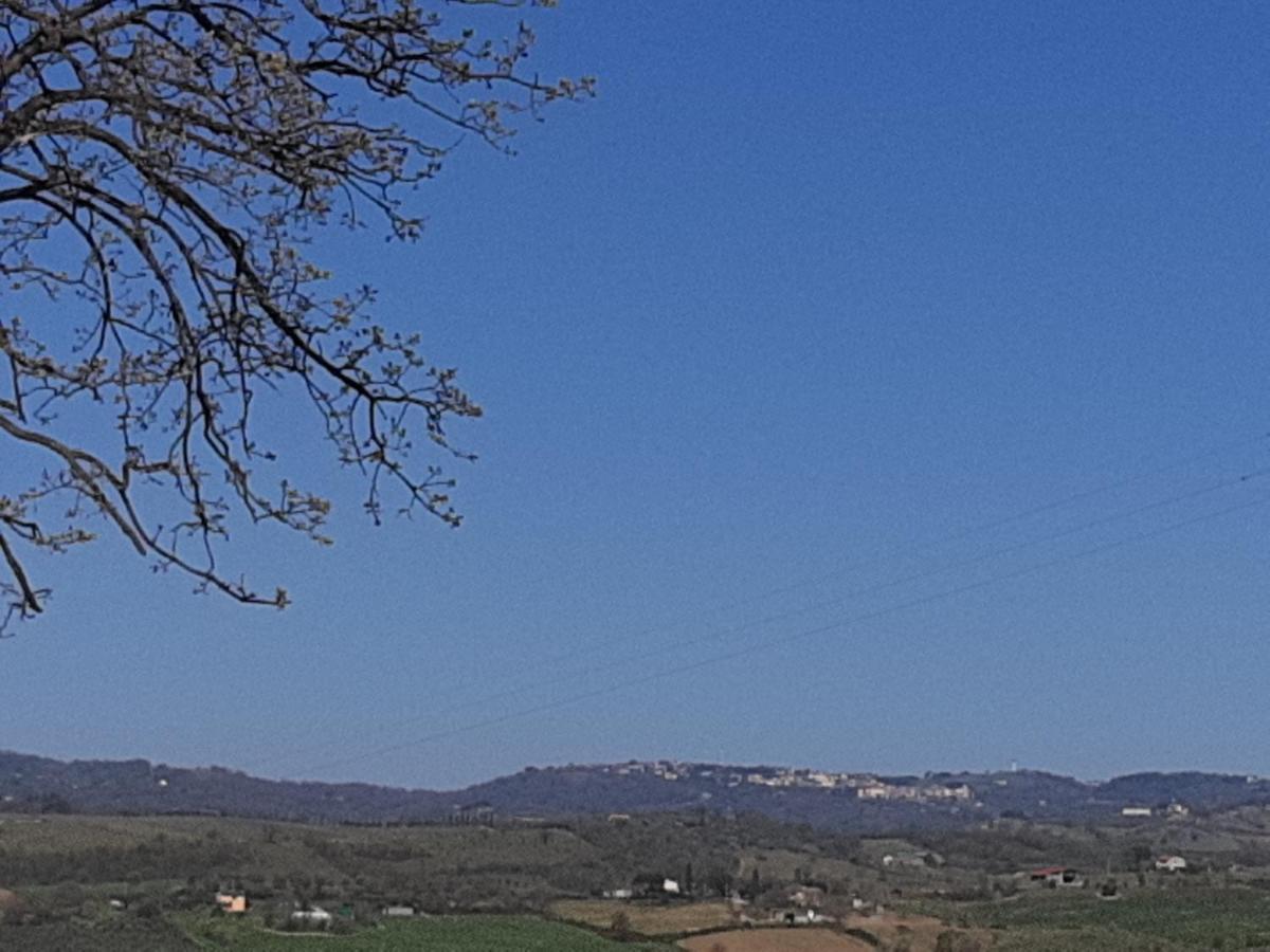 Agriturismo Uliveto Gretacci Montemerano Kültér fotó